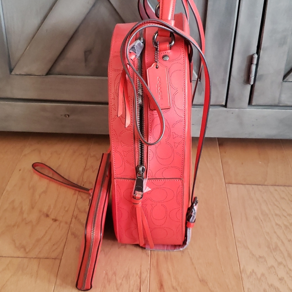Backpack - Picture 3 of 6